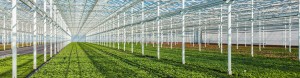 Damilano-Group-profili-per-energie-rinnovabili